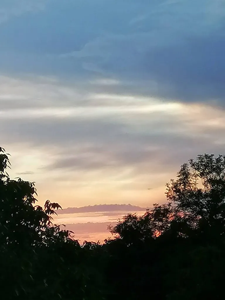 Чайная беседка