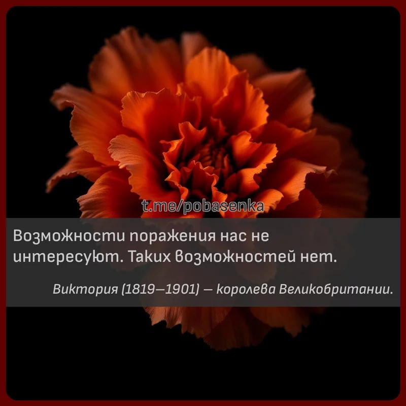 «Возможности поражения нас не интересуют. Таких возможностей...» height="550" width="550"