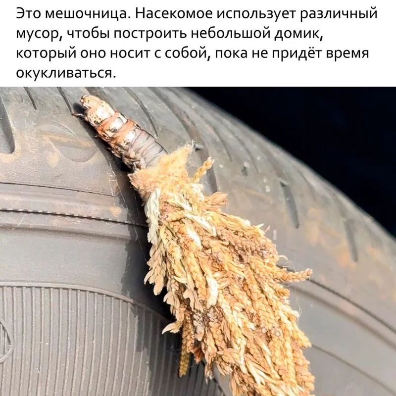 Это интересно!
