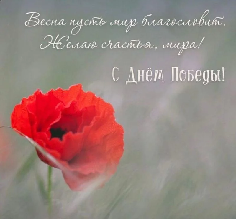 Tapтaлeтки & Ко