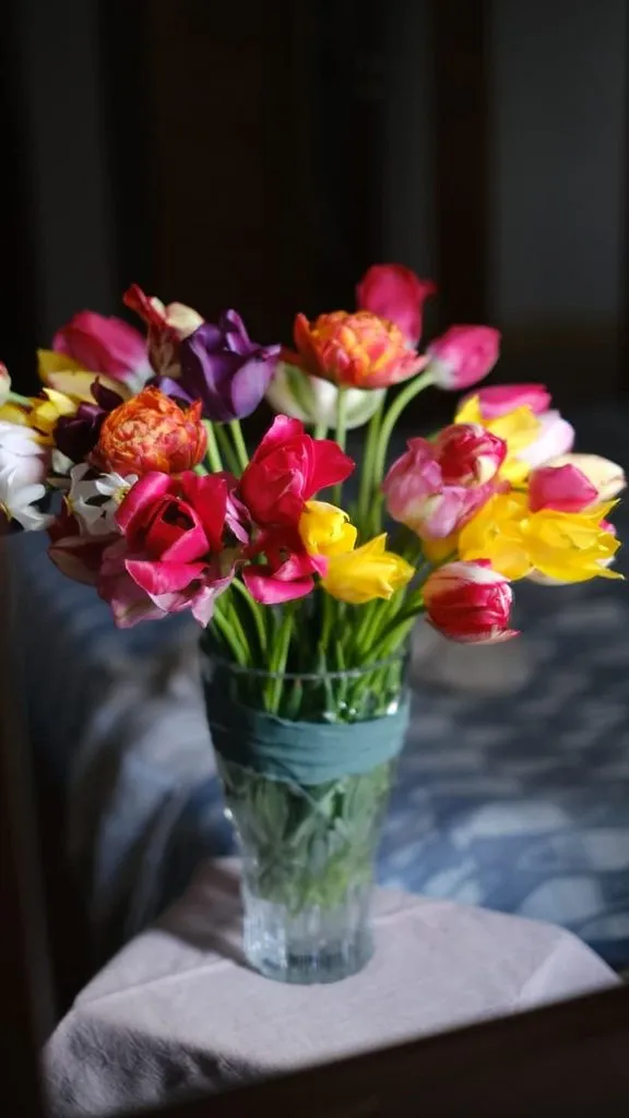 Чайная беседка