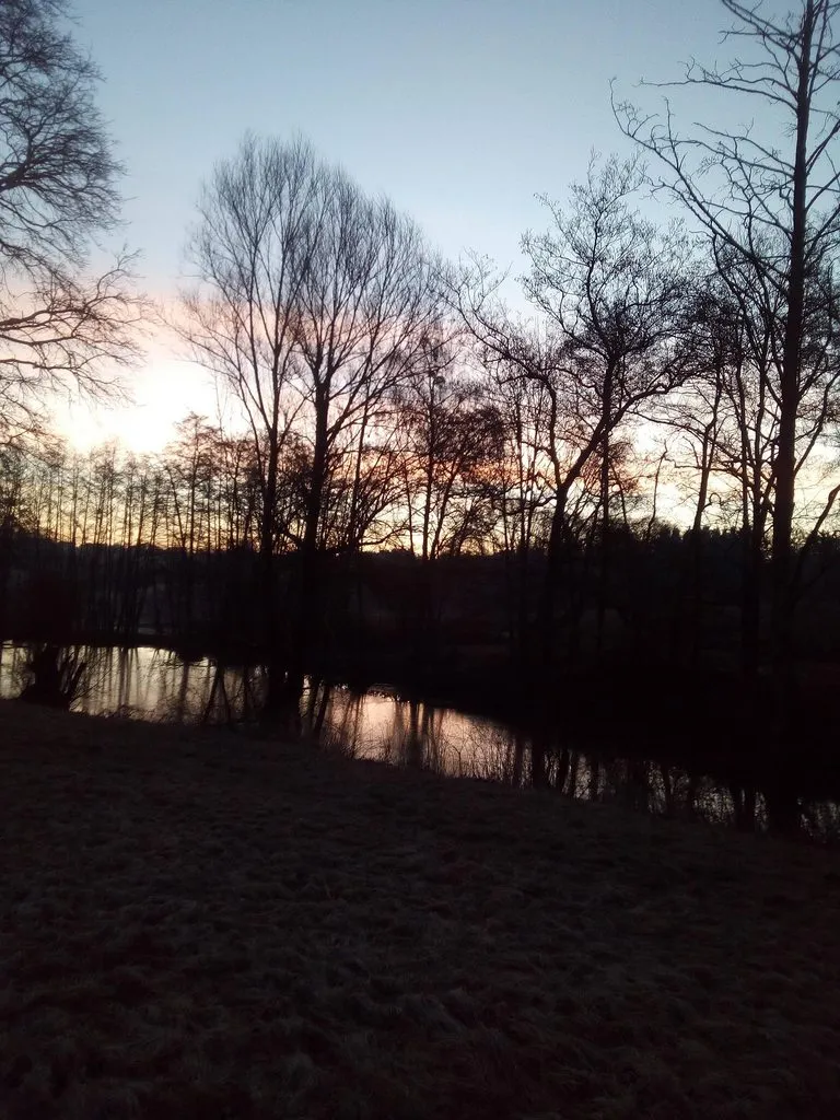 Чайная беседка