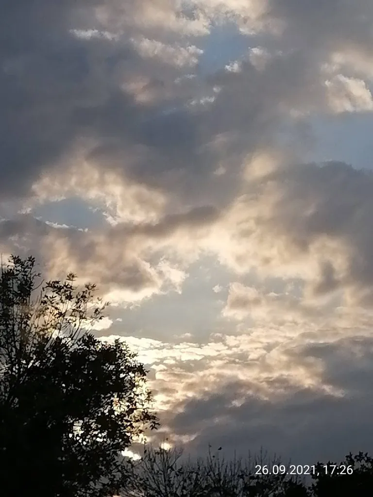 Чайная беседка