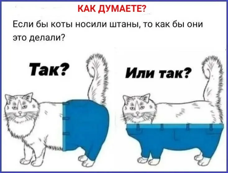 Кто сказал "Мяу"?
