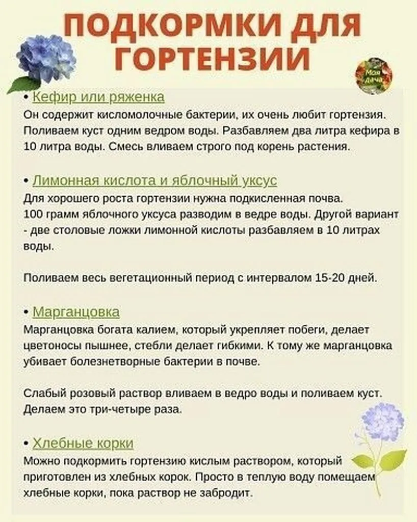 Садово-огородная  инфографика