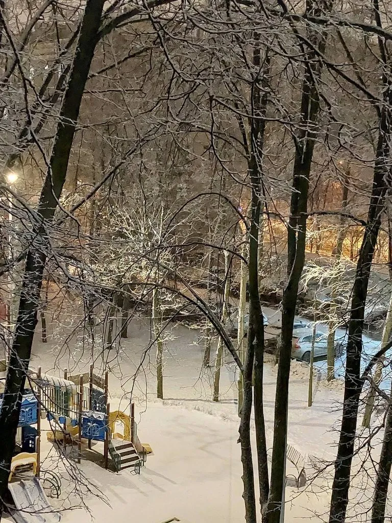 Кафе «У пани Сони»