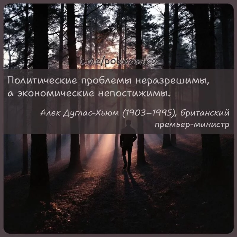 «Политические проблемы неразрешимы, а экономические...» height="550" width="550"