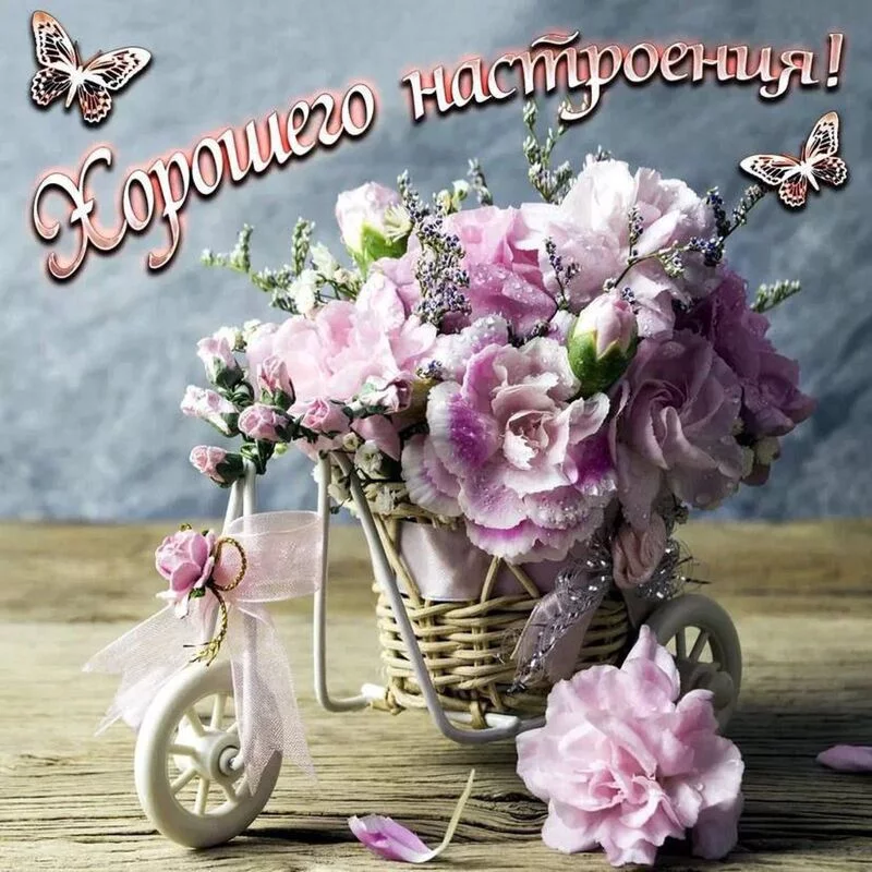 Кафе "У пани Сони"