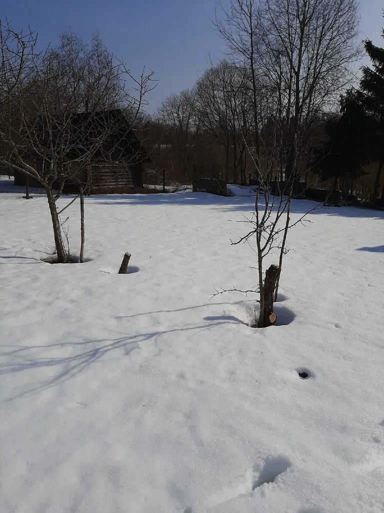 Кафе «У пани Сони»