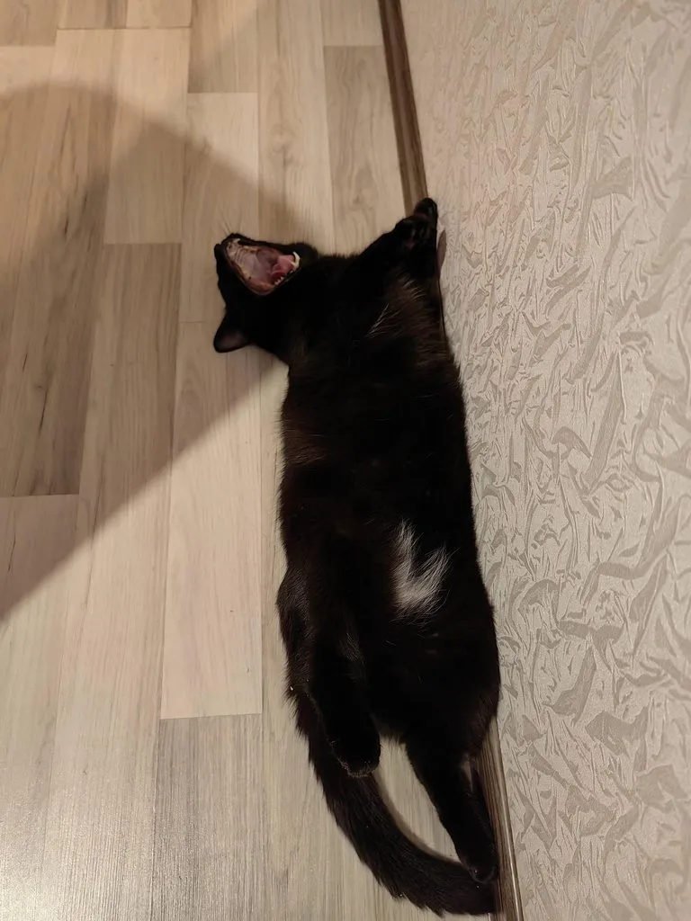 Чайная беседка