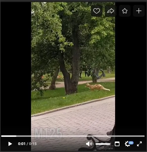 Коломенское