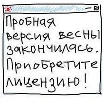 Кафе "У пани Сони"