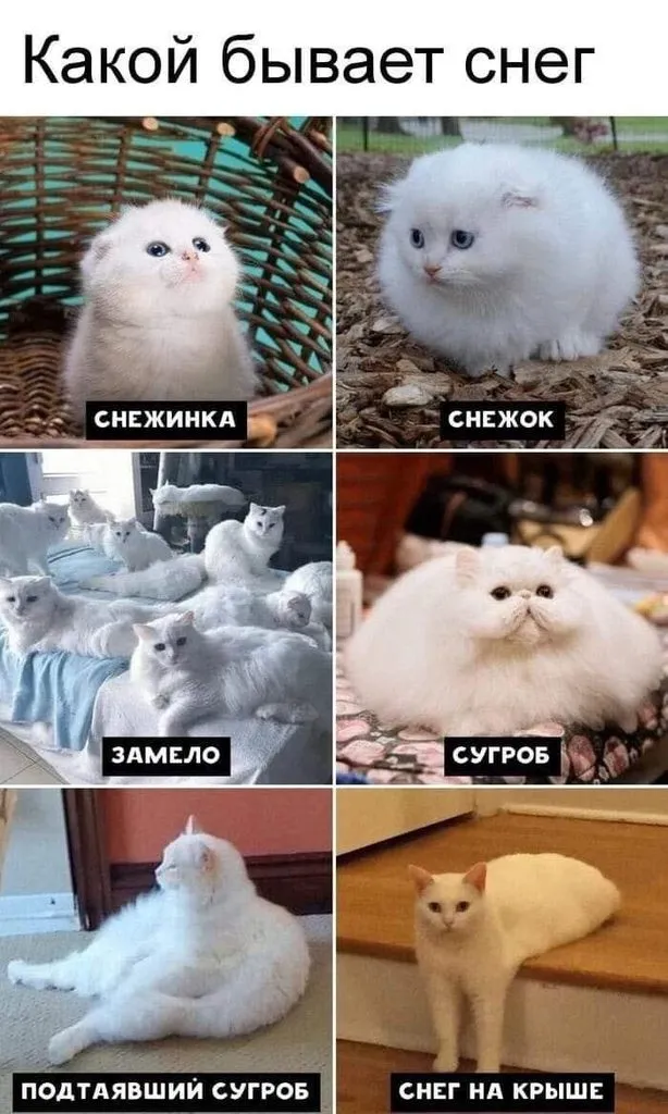 Посмеялся сам - поделись с другом!!!