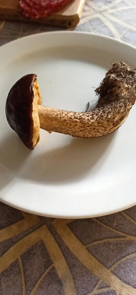 По грибы с лукошком