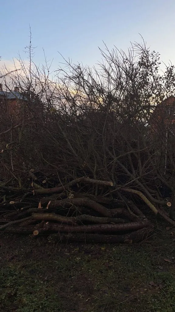 Загородная жизнь - обустройство жизни на своей земле во всем ее разнообразии