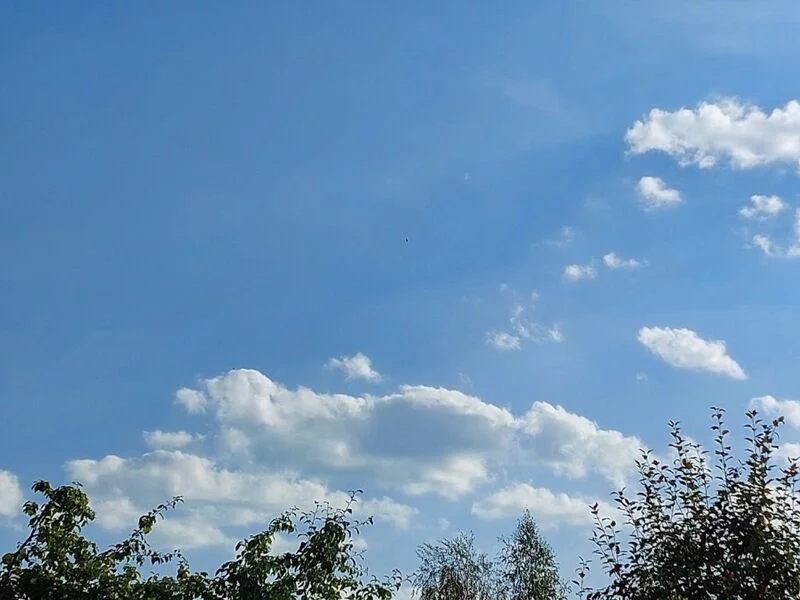 Такое разное небо