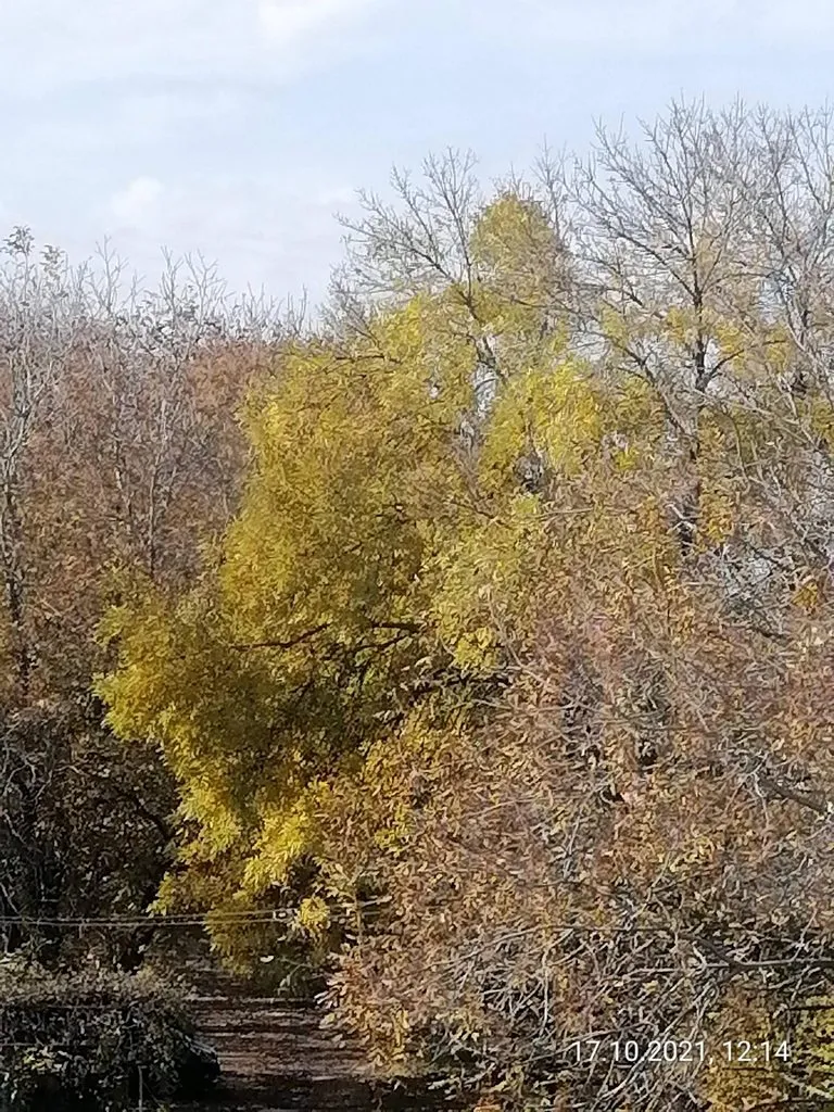 Фотонастроение