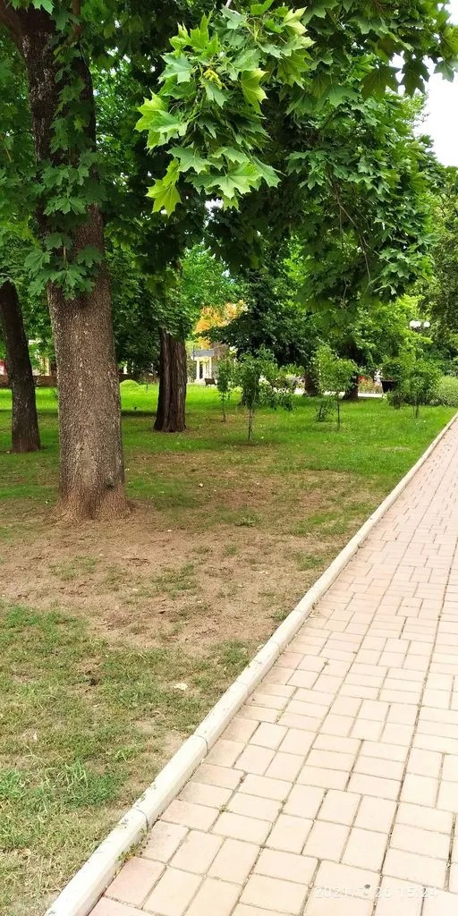 Tapтaлeтки & Ко