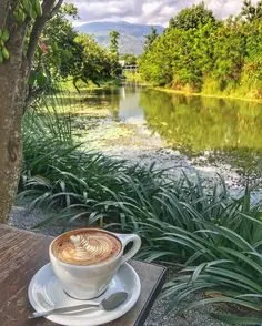 Tapтaлeтки & Ко