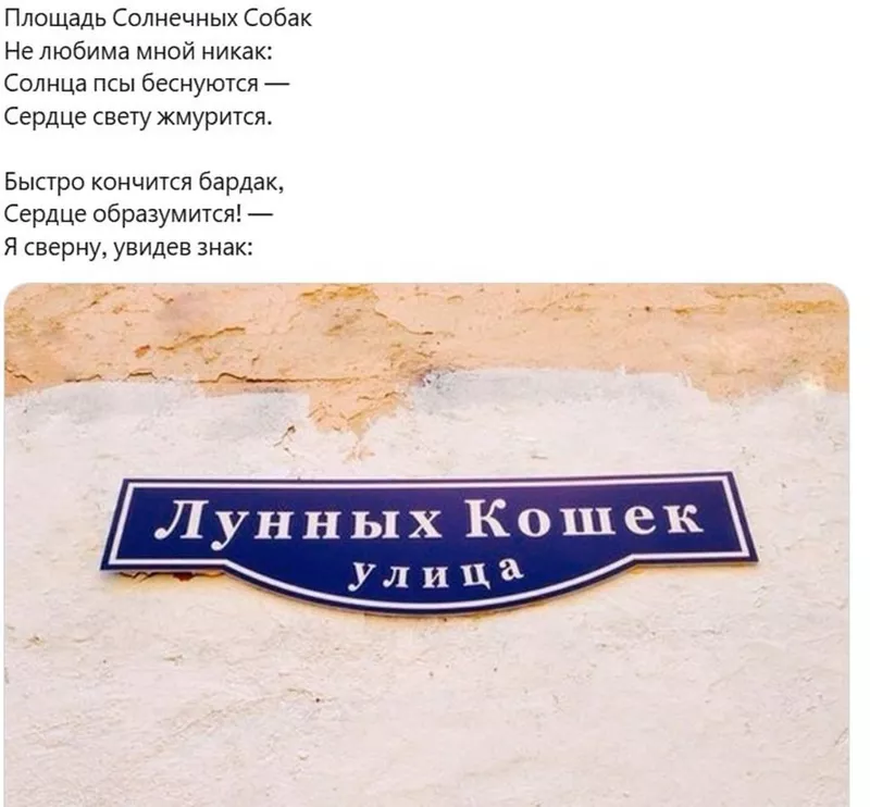 Всюду рифмы