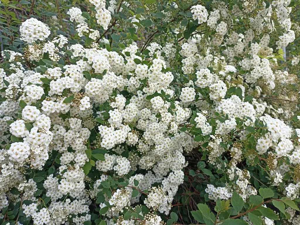 Калининградская область (не только море и янтарь) 