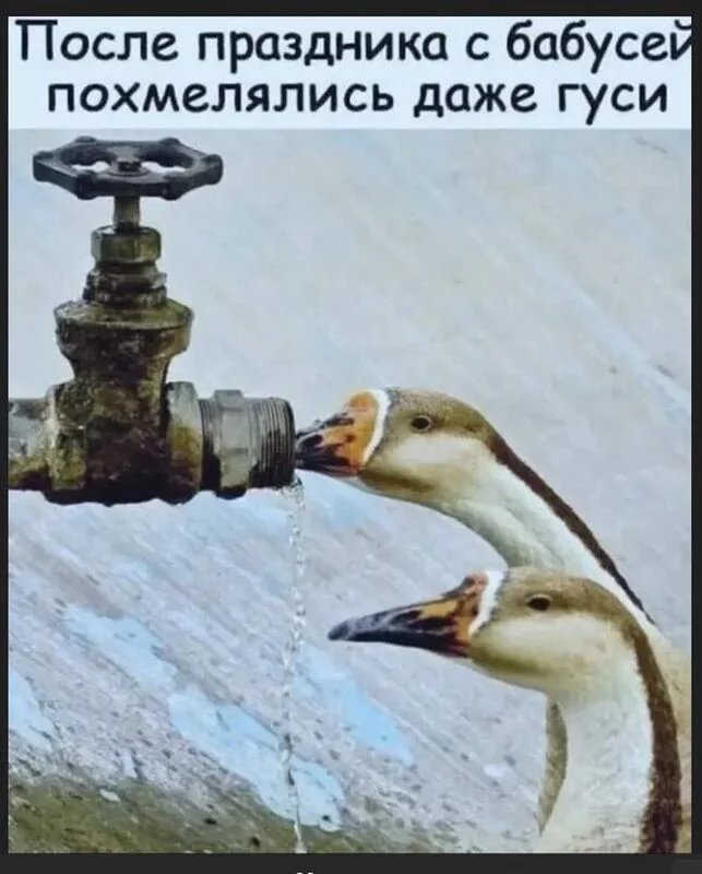 Посмеялся сам - поделись с другом!!!