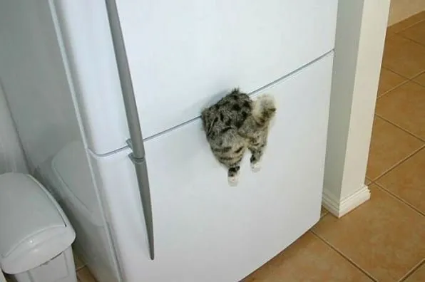 Посмеялся сам - поделись с другом!!!