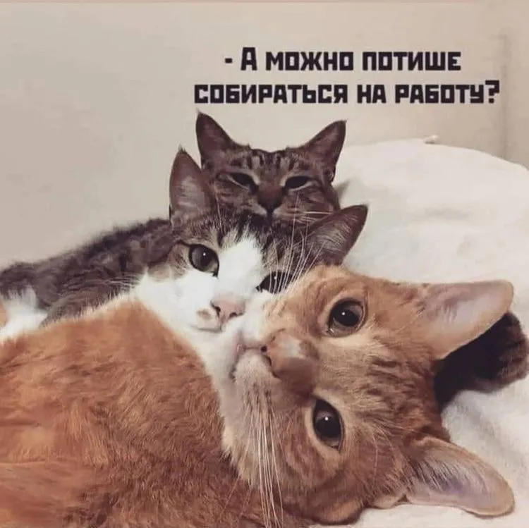 Посмеялся сам - поделись с другом!!!