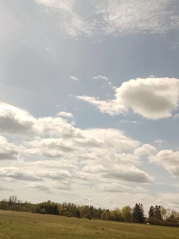 Такое разное небо