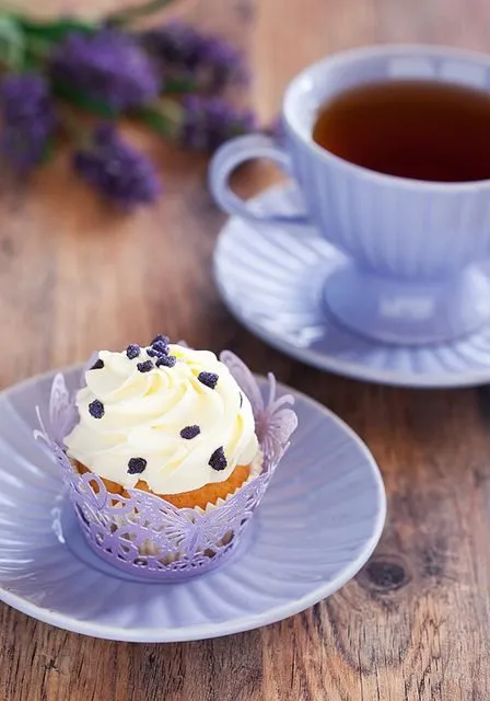 Tapтaлeтки & Ко