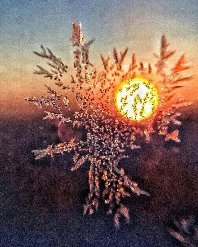 Арт галерея