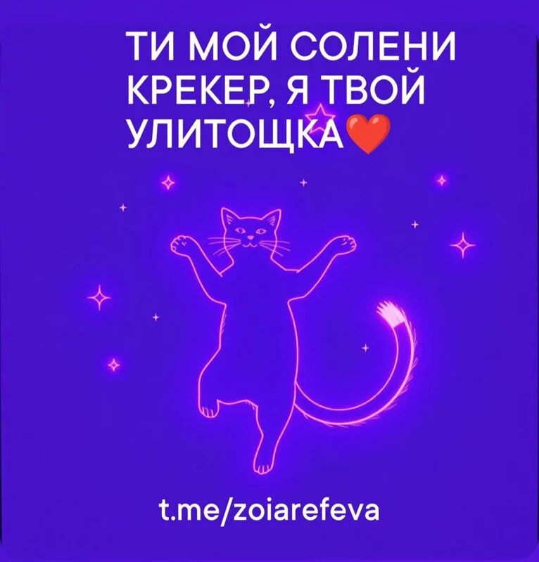 Кошичкина полиция