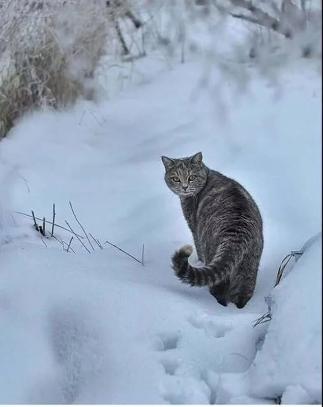 Рассказы для души