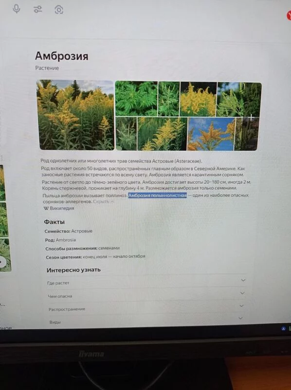 Чайная беседка