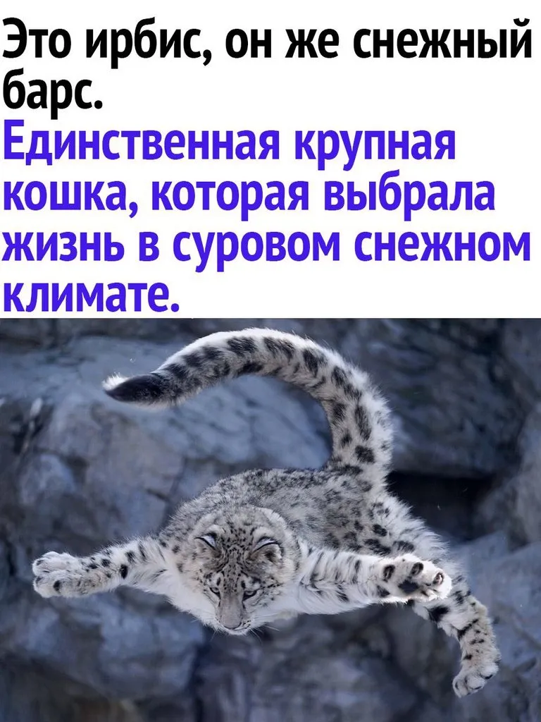 Это интересно!