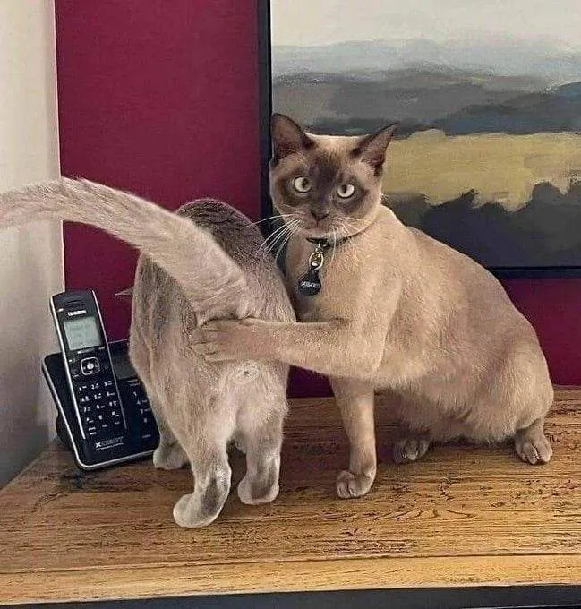 Посмеялся сам - поделись с другом!!!