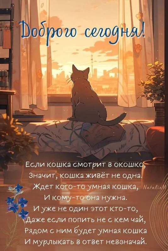 Кафе "У пани Сони"