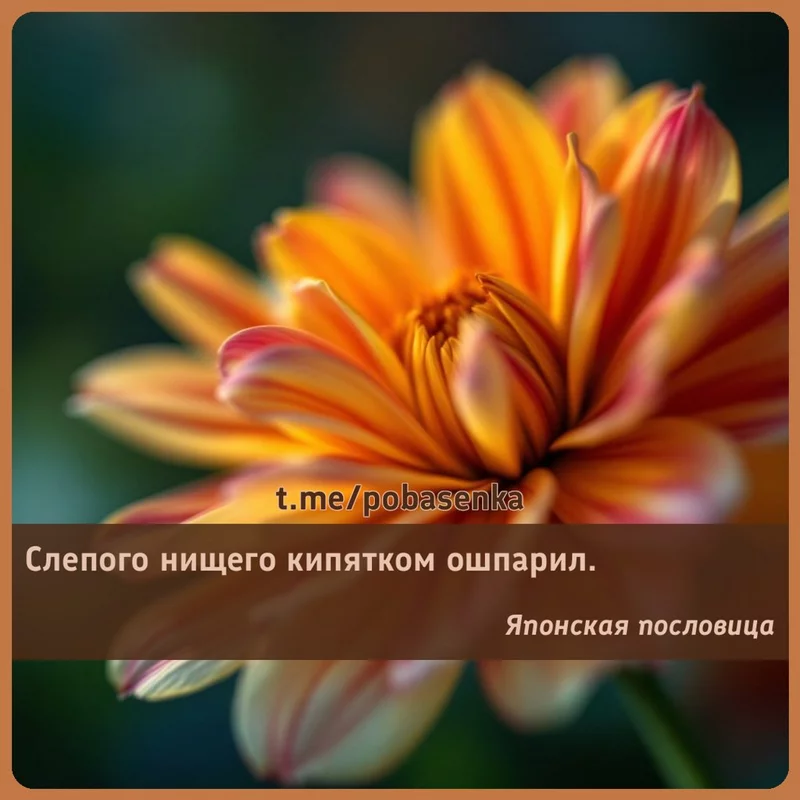 «Слепого нищего кипятком...» height="550" width="550"