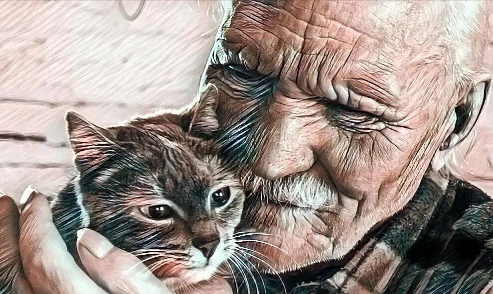 Позитивчик (фото, видео, рассказы для хорошего настроения)