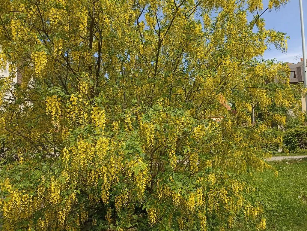 Калининградская область (не только море и янтарь) 