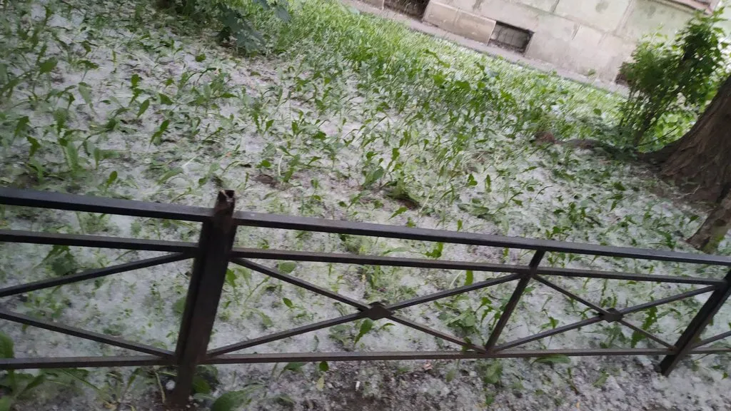 Времена года (наши фото)