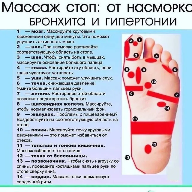 Медицинская инфографика