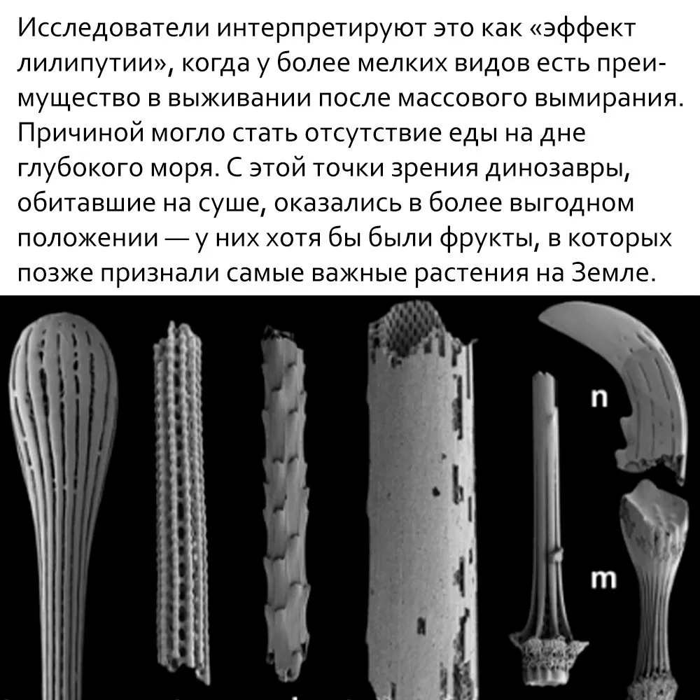 Это интересно!