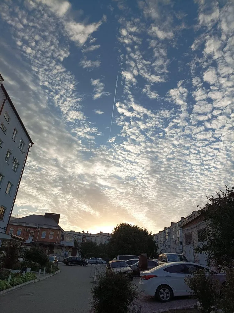 Чайная беседка