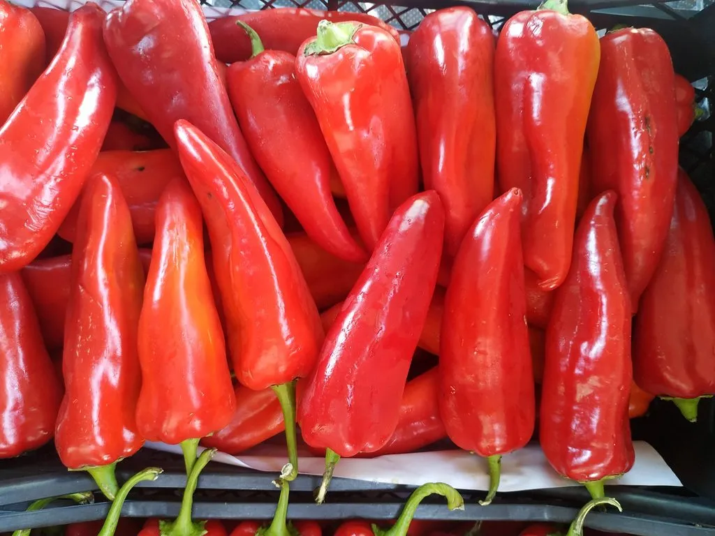 Чайная беседка