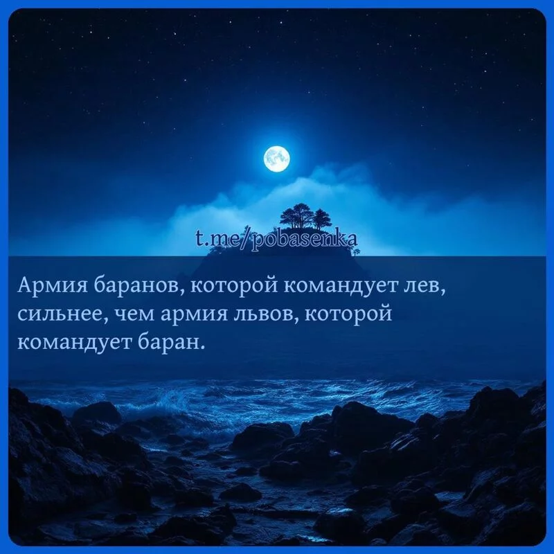 «Армия баранов, которой командует лев, сильнее, чем армия львов, которой командует...» height="550" width="550"