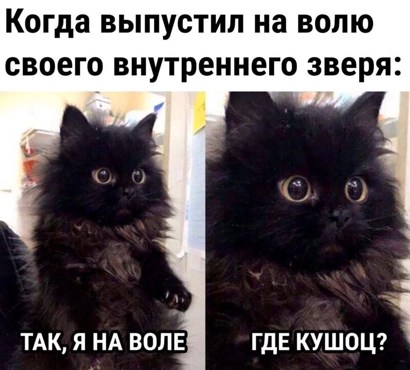 Посмеялся сам - поделись с другом!!!