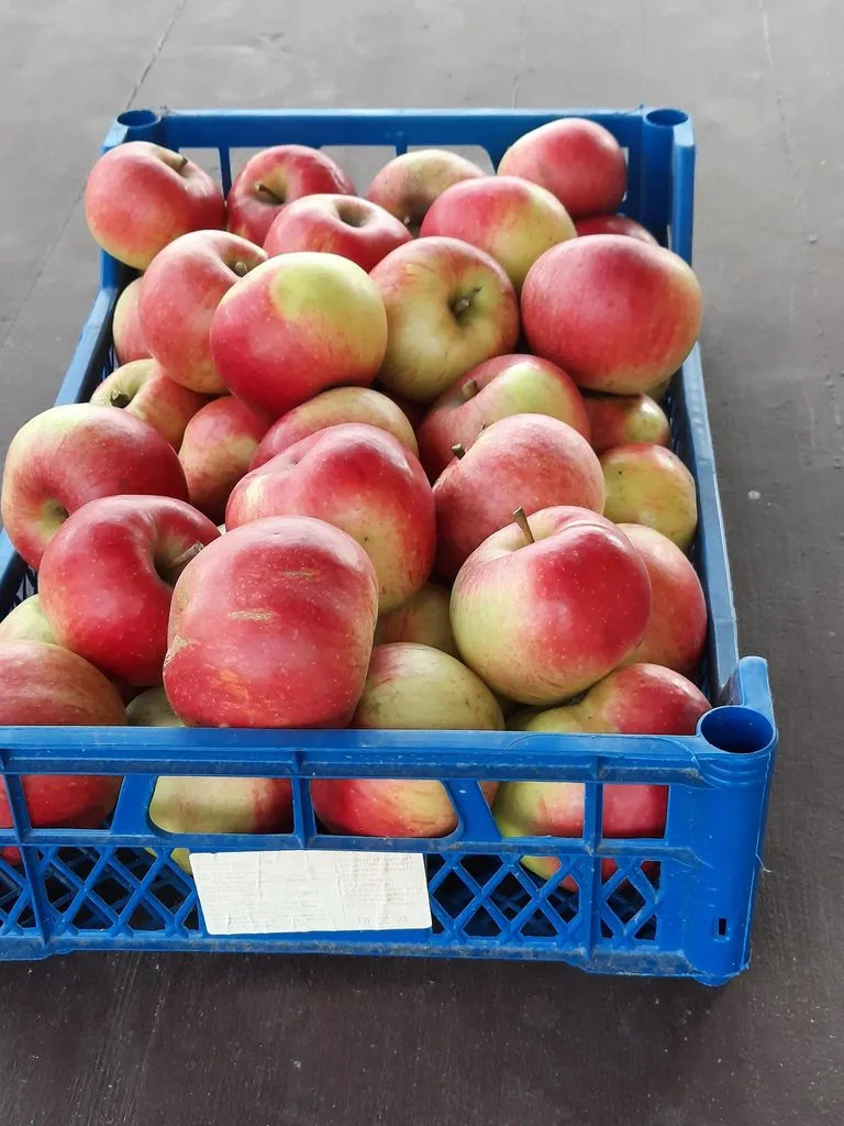 Фуд Сити в Москве