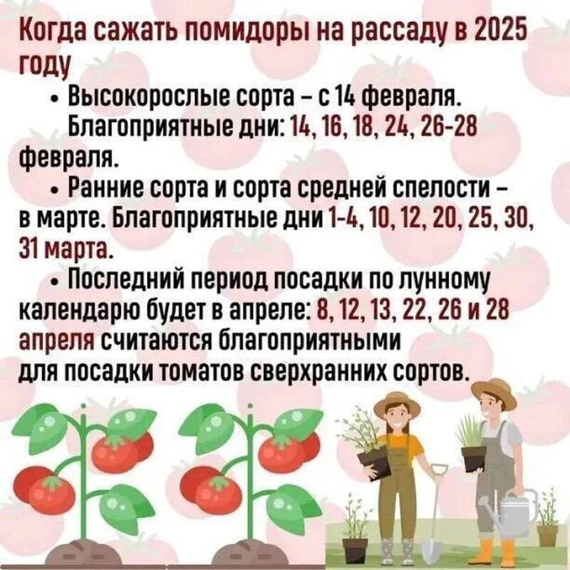 Садово-огородная  инфографика