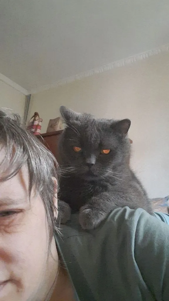 Tapтaлeтки & Ко